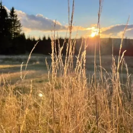 アパート Tyrolia *